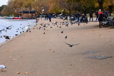 DSC_0643 (Large).JPG